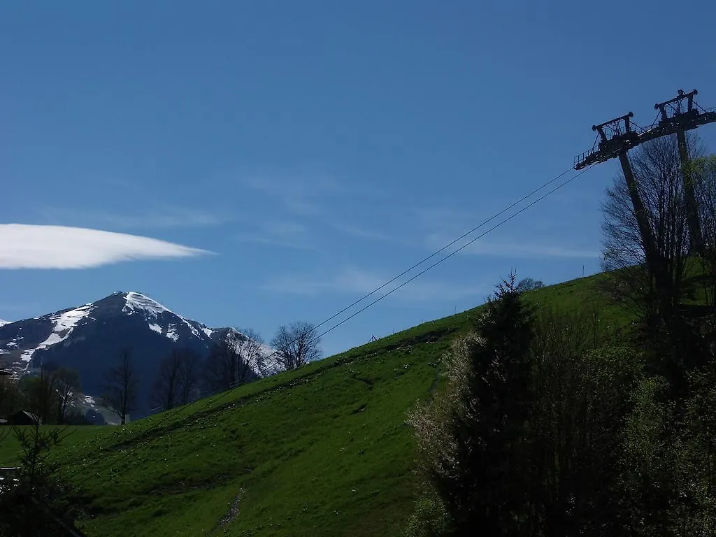 Haus Bergheim Apartment Saalbach-Hinterglemm 0*,